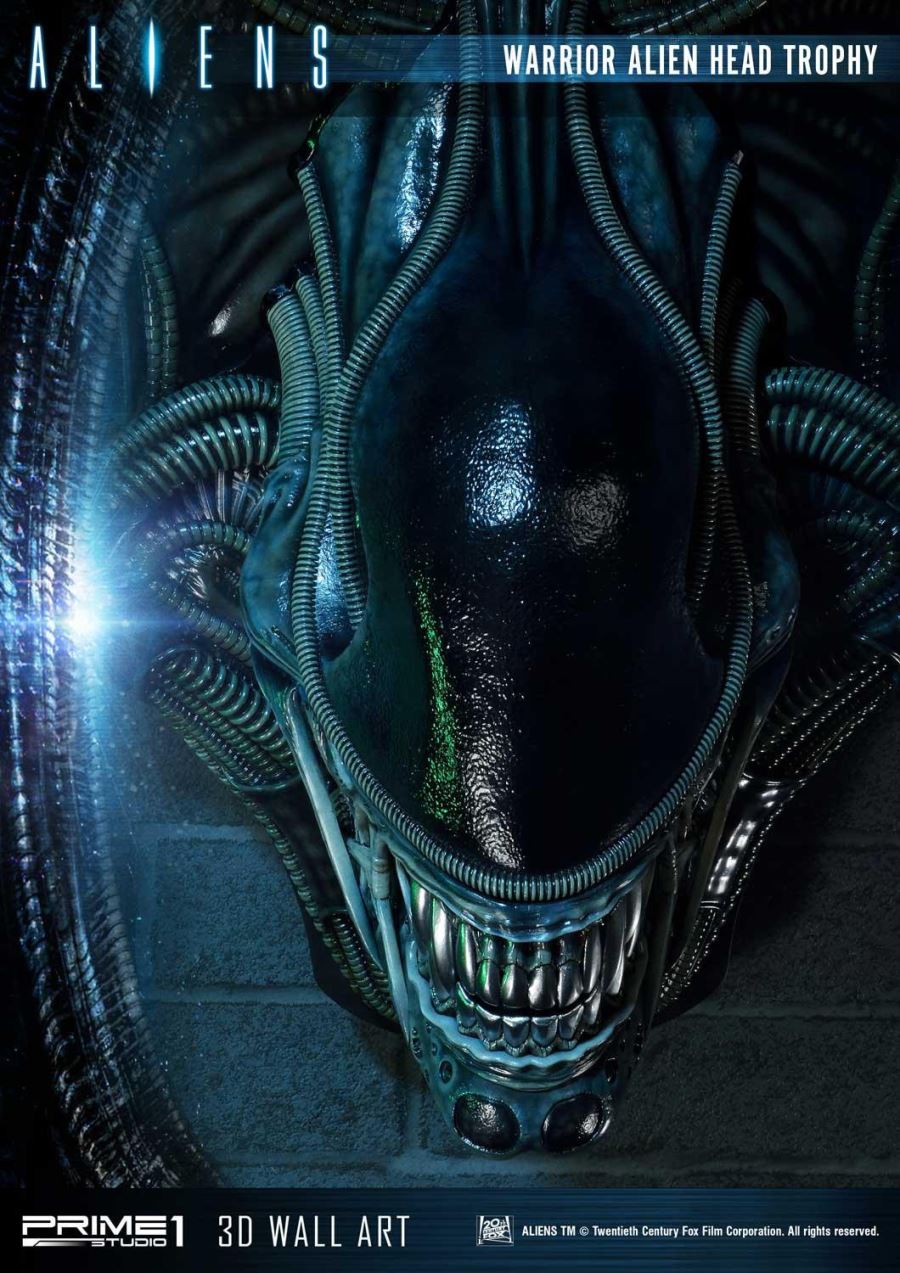 Alien Warrior Head Trophy 3D Wall Art