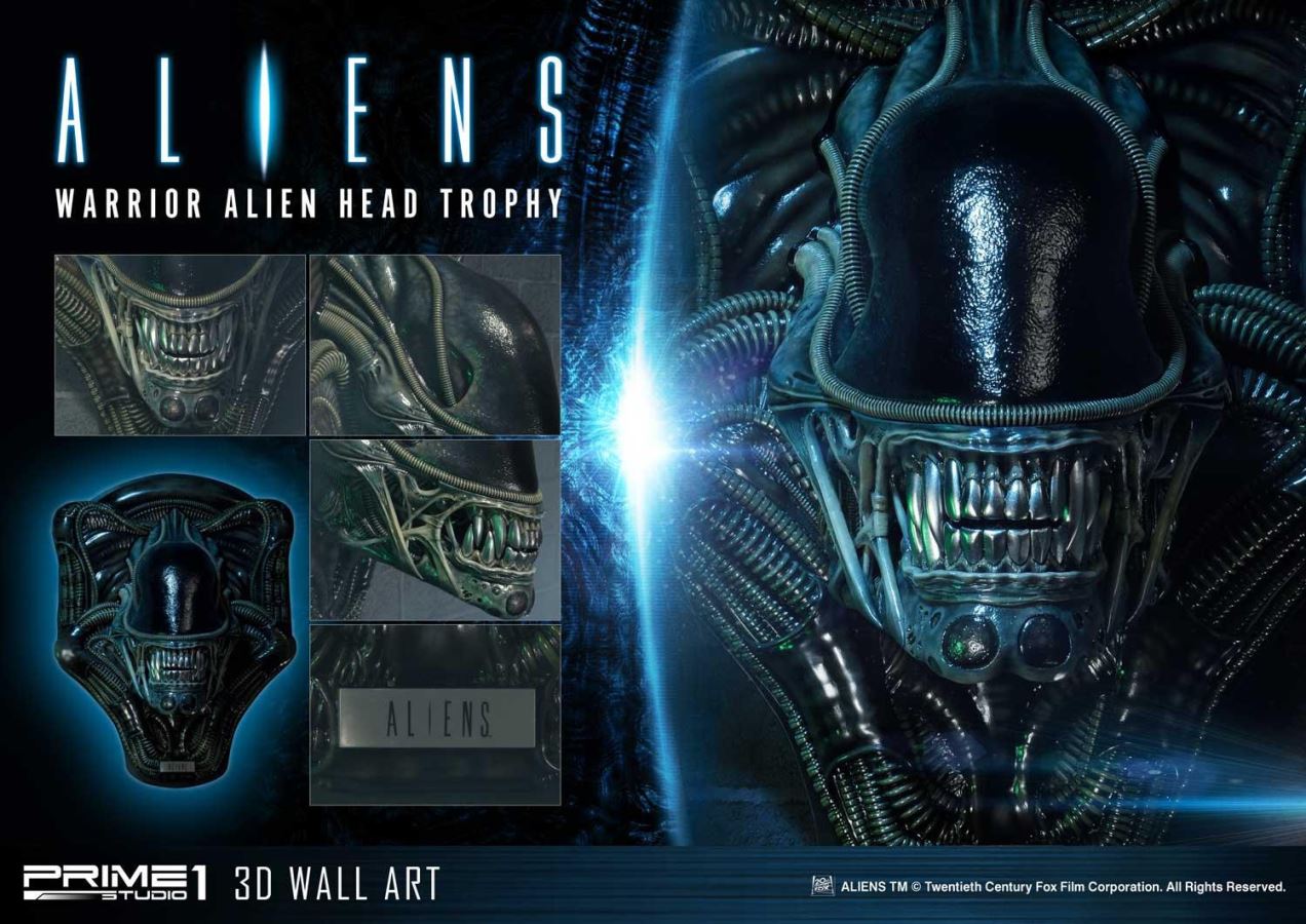 Alien Warrior Head Trophy 3D Wall Art