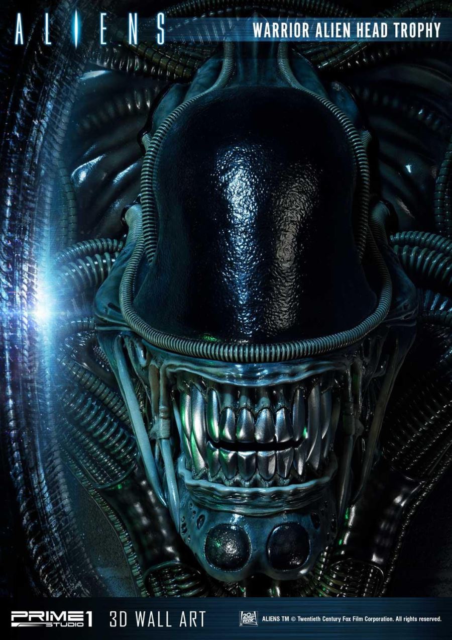 Alien Warrior Head Trophy 3D Wall Art