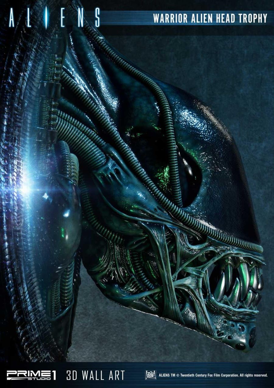 Alien Warrior Head Trophy 3D Wall Art