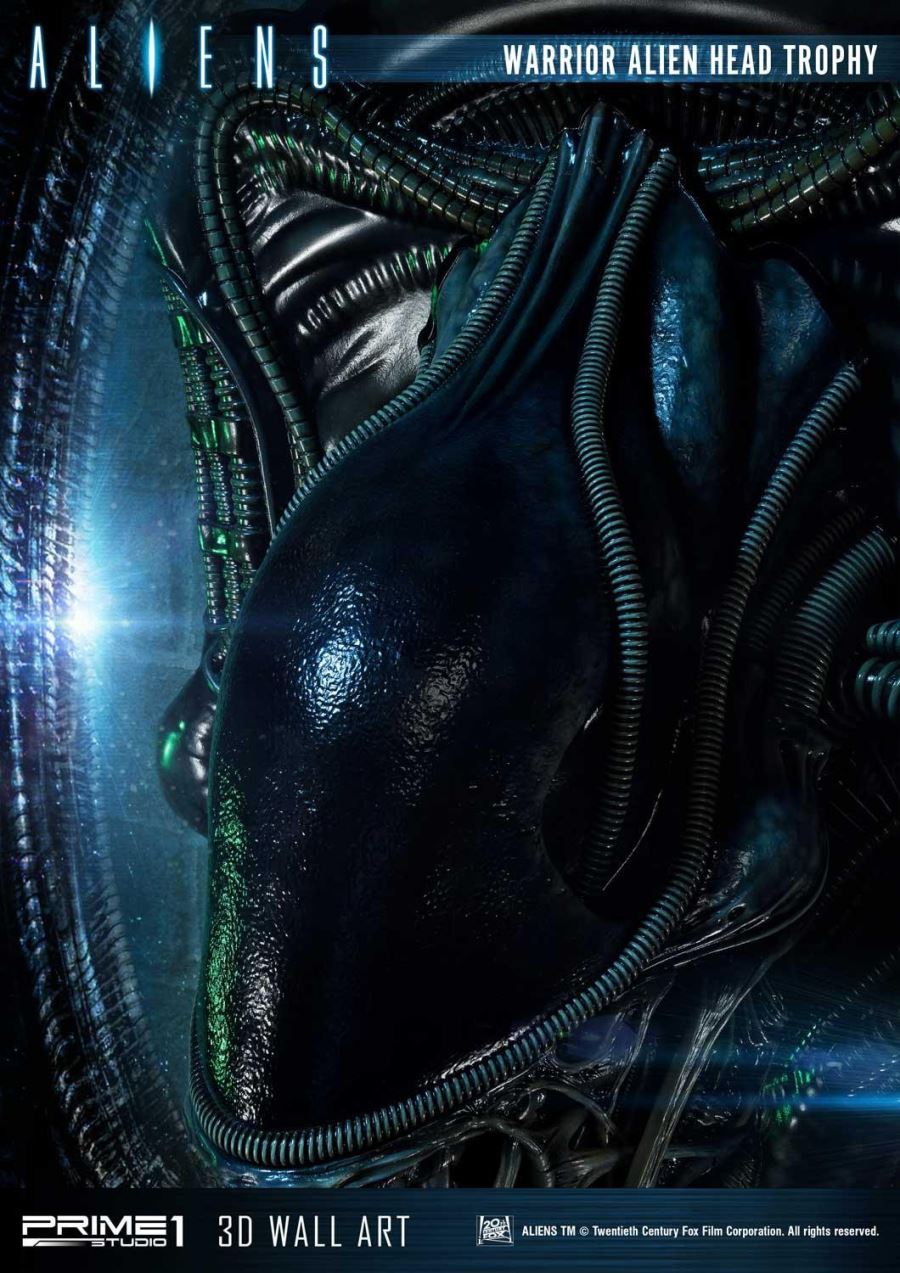 Alien Warrior Head Trophy 3D Wall Art