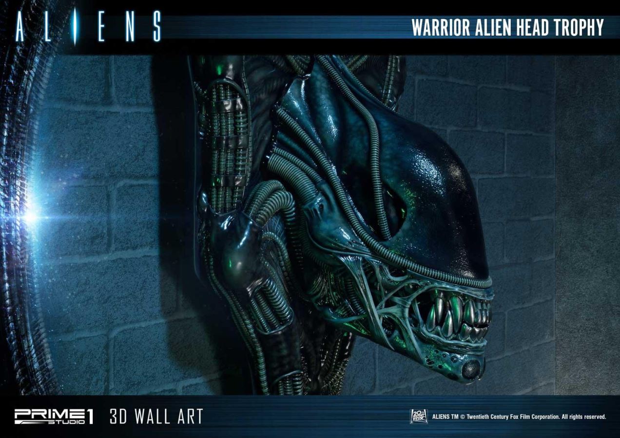 Alien Warrior Head Trophy 3D Wall Art