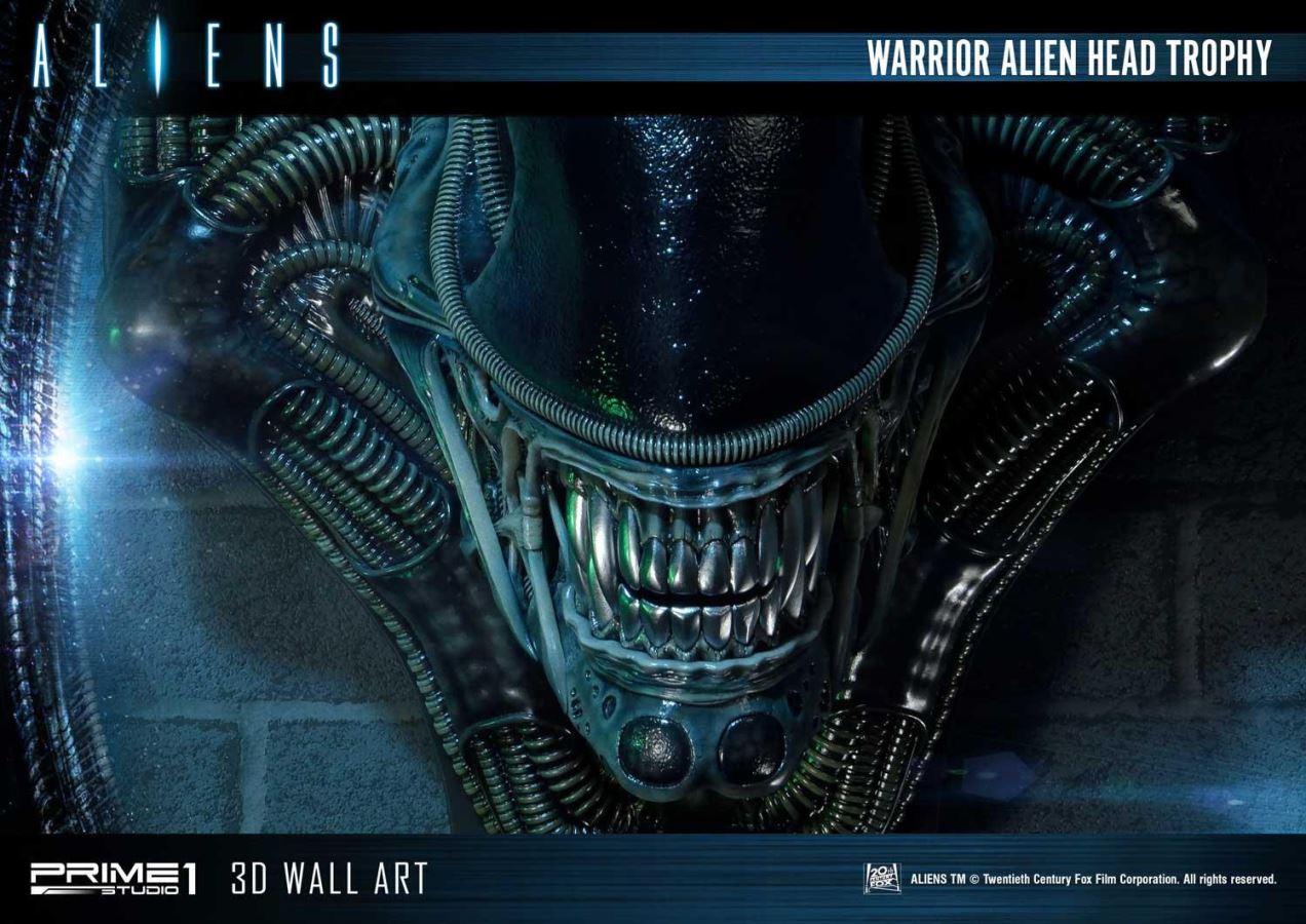 Alien Warrior Head Trophy 3D Wall Art