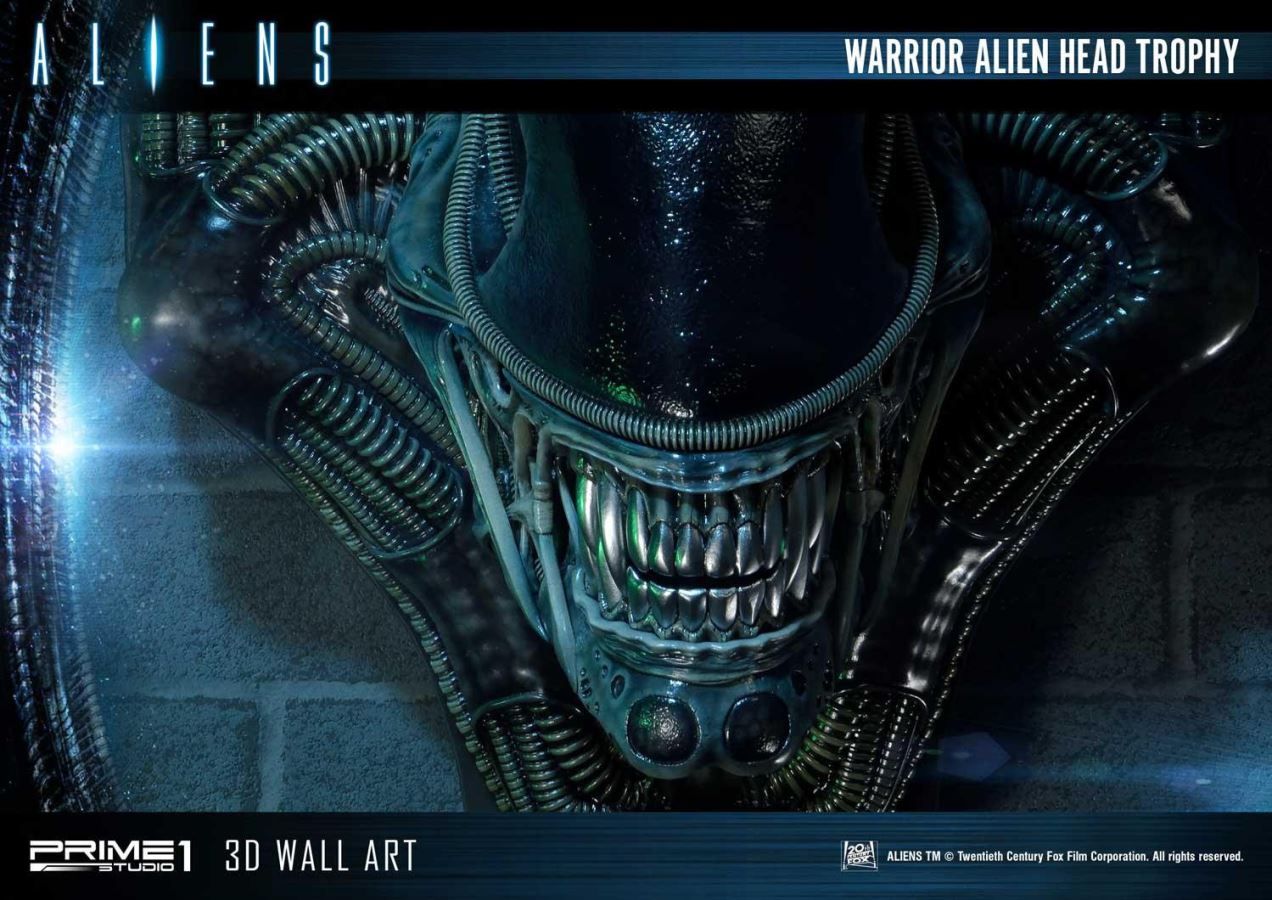 Alien Warrior Head Trophy 3D Wall Art