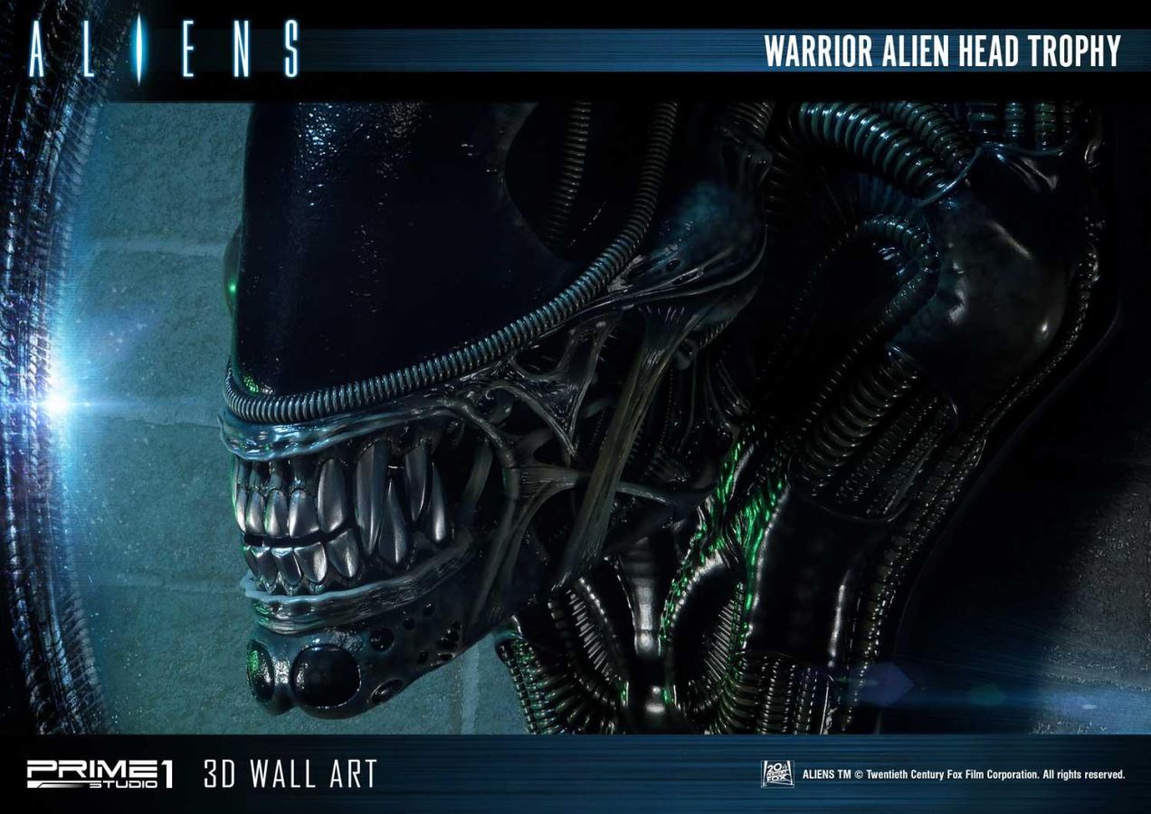 Alien Warrior Head Trophy 3D Wall Art