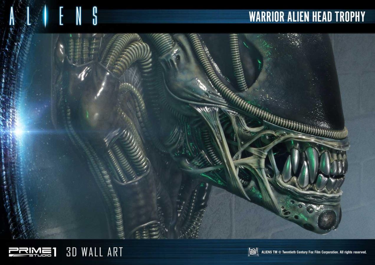 Alien Warrior Head Trophy 3D Wall Art