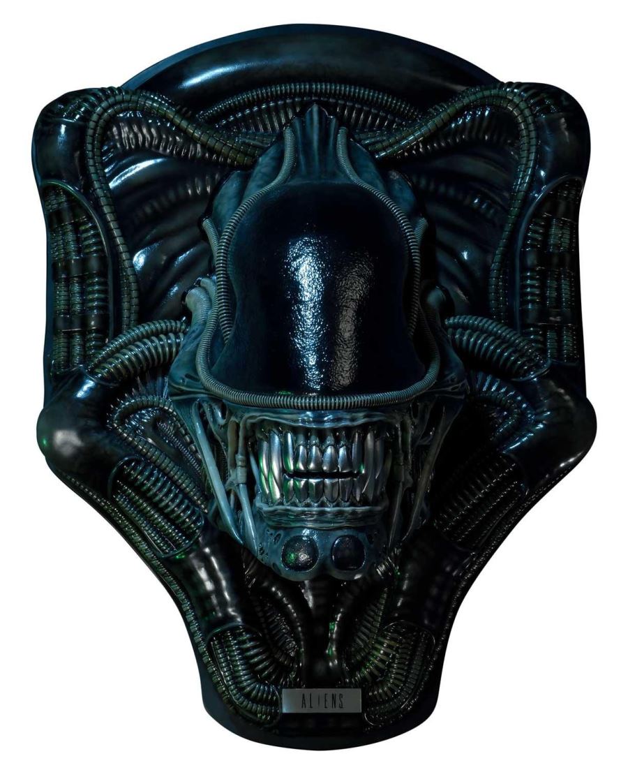 Alien Warrior Head Trophy 3D Wall Art
