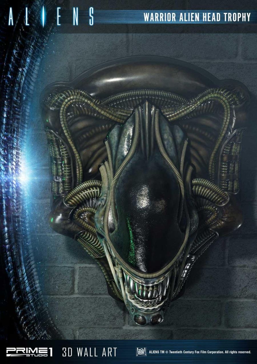 Alien Warrior Head Trophy 3D Wall Art