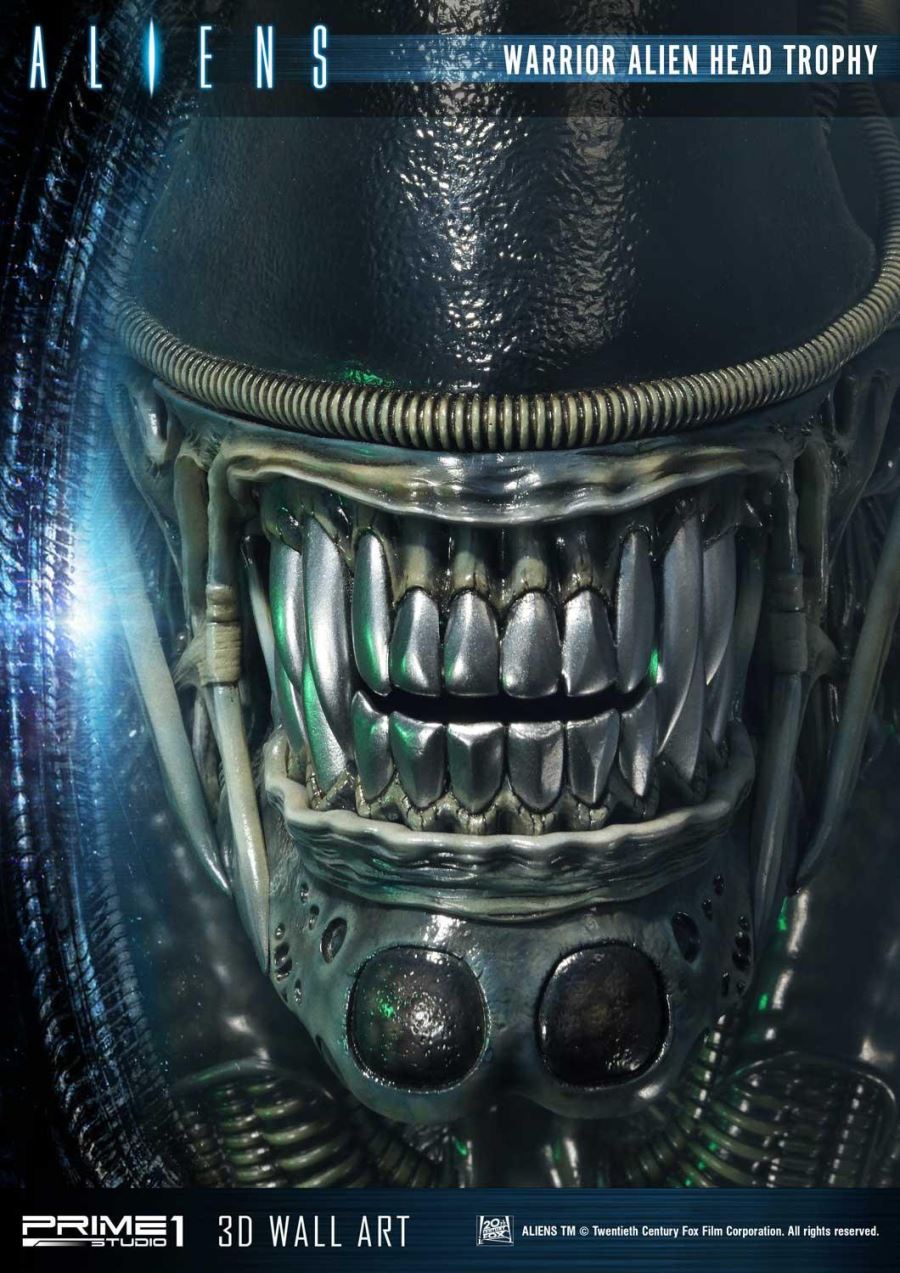 Alien Warrior Head Trophy 3D Wall Art