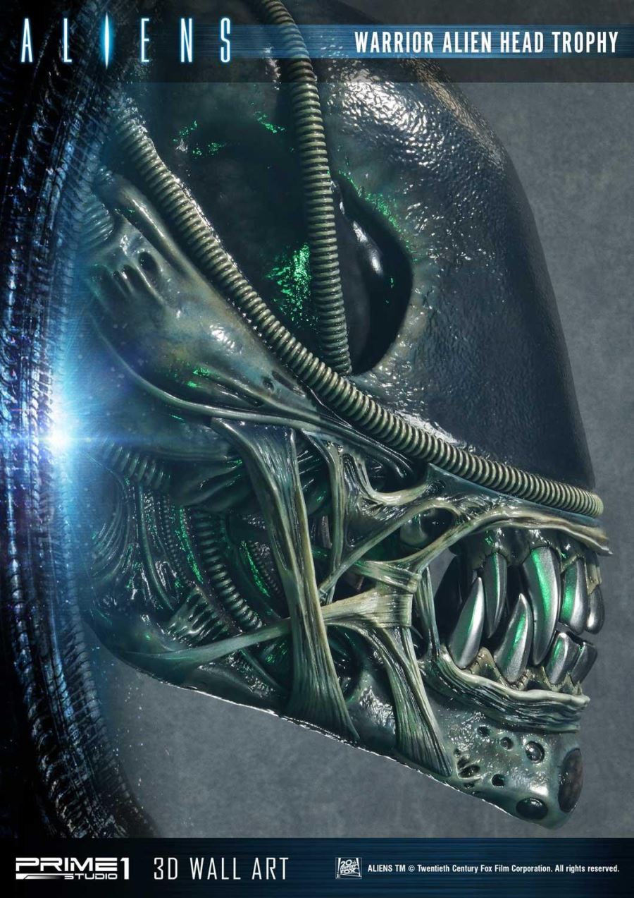 Alien Warrior Head Trophy 3D Wall Art