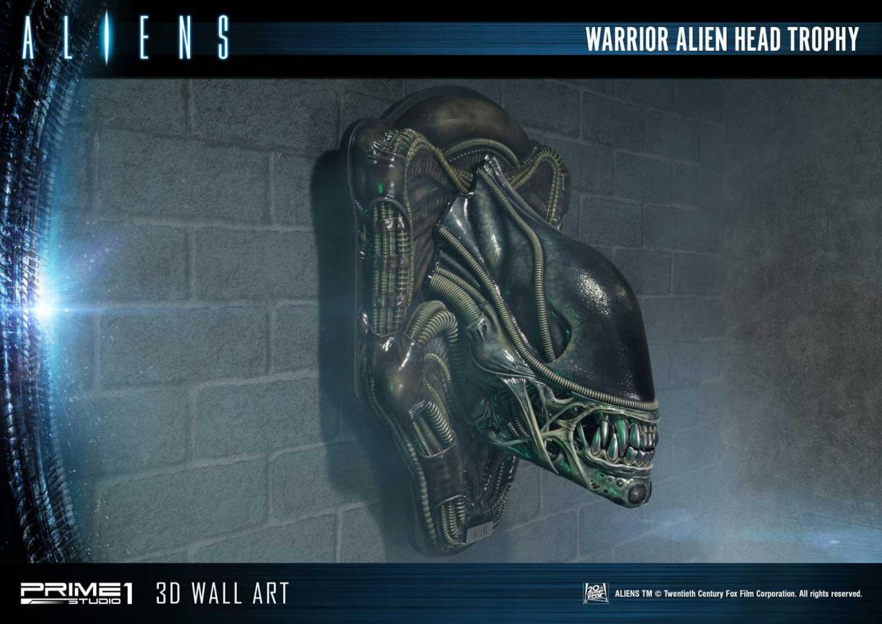 Alien Warrior Head Trophy 3D Wall Art