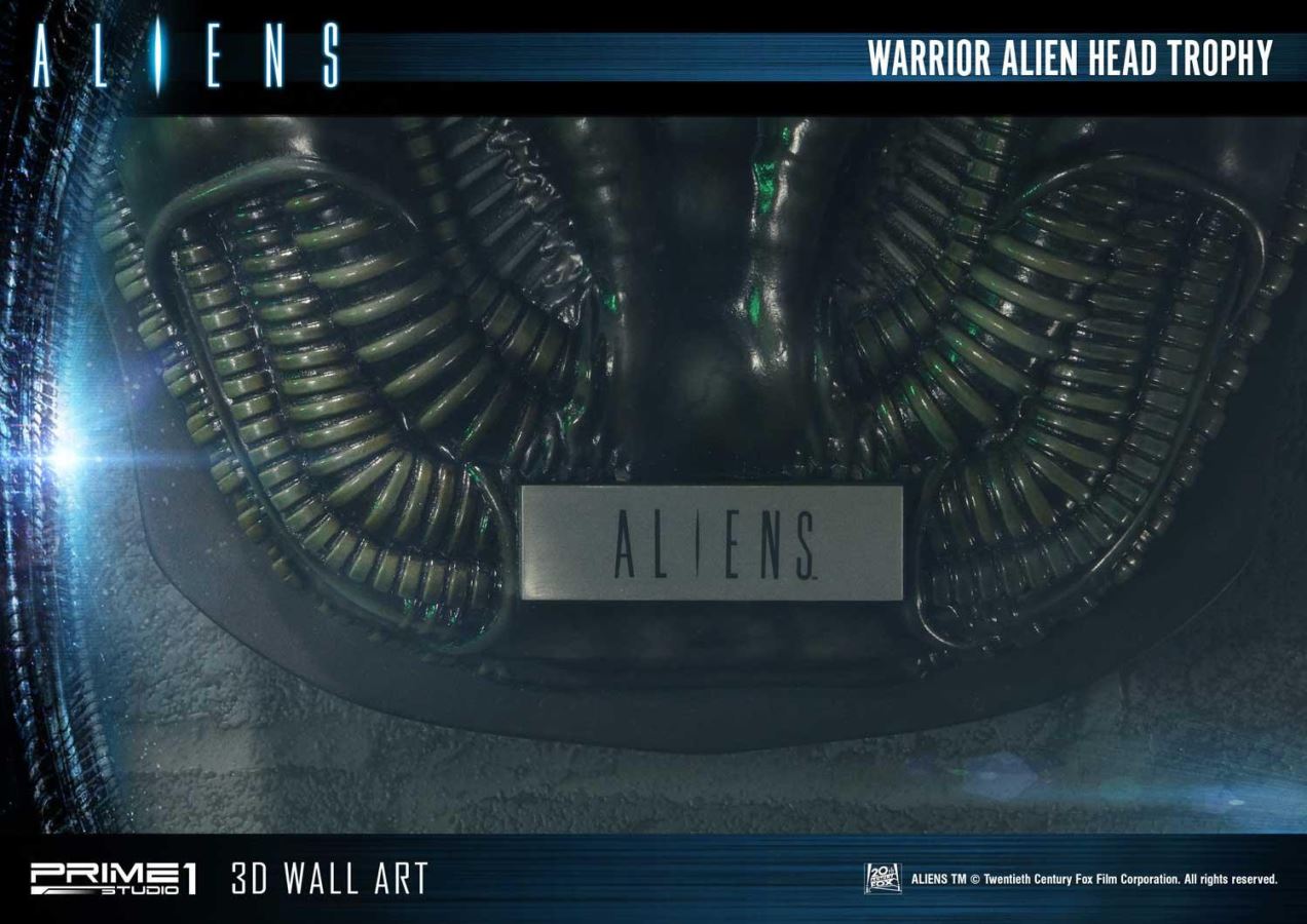 Alien Warrior Head Trophy 3D Wall Art