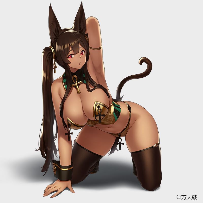Creator's Opinion - Anubis -Casino Ver.- 1/4