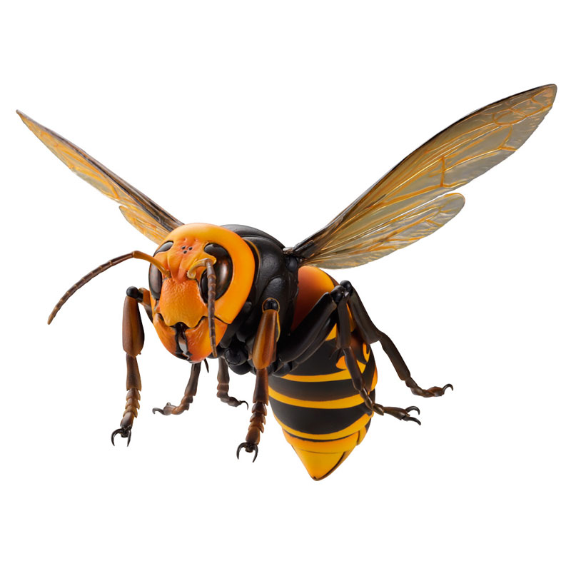 REVO GEO Big hornet