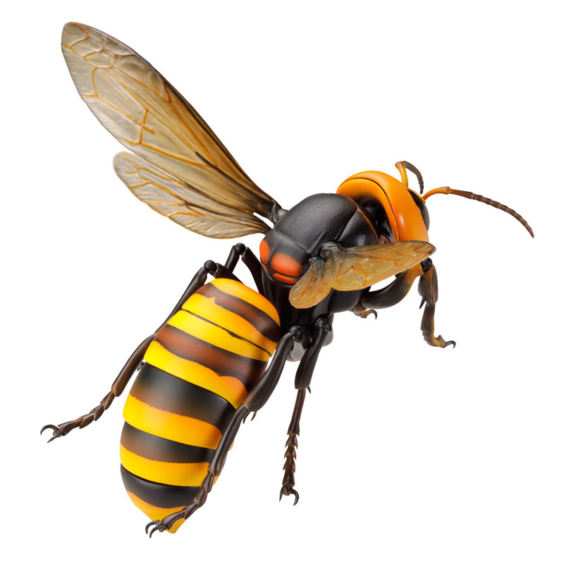 REVO GEO Big hornet