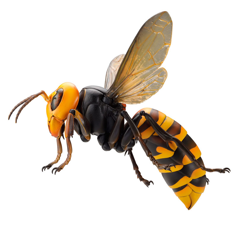 REVO GEO Big hornet