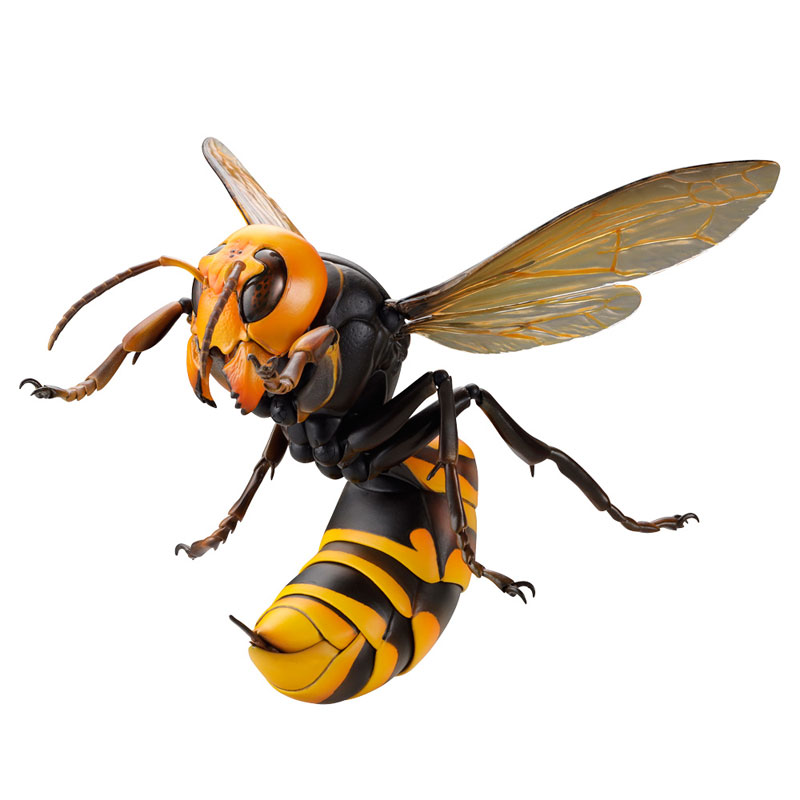 REVO GEO Big hornet