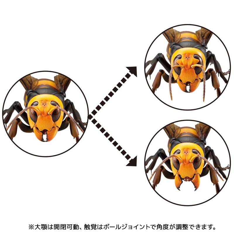 REVO GEO Big hornet