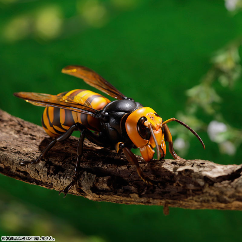 REVO GEO Big hornet