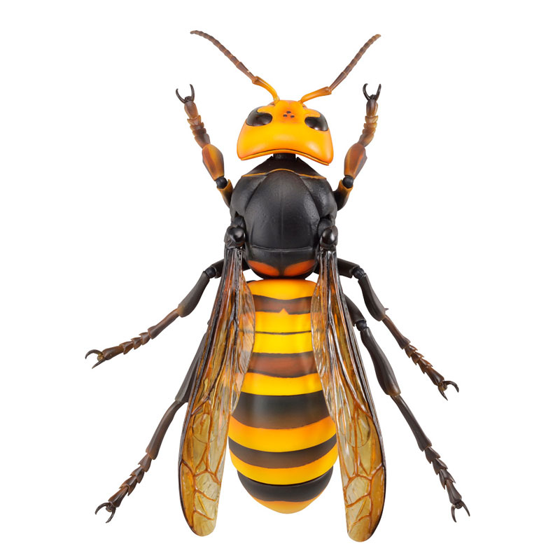 REVO GEO Big hornet