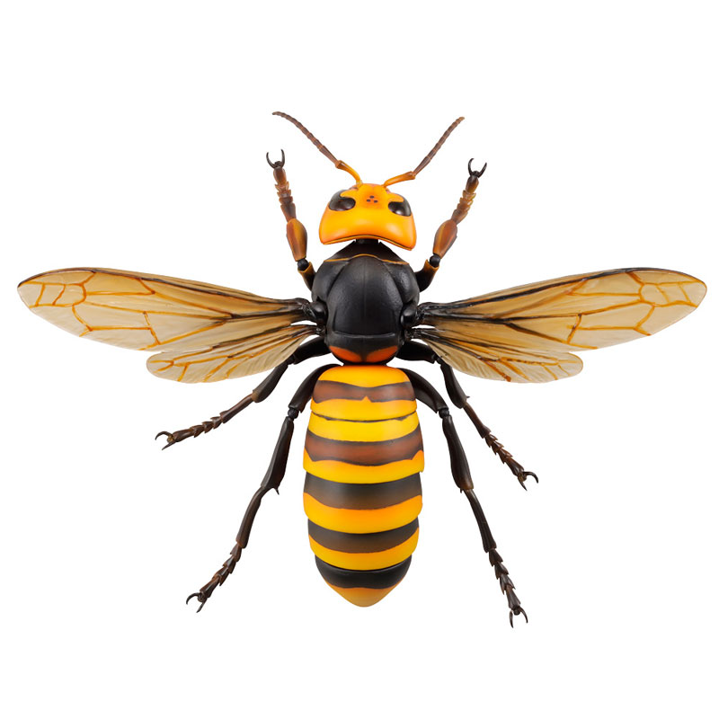 REVO GEO Big hornet
