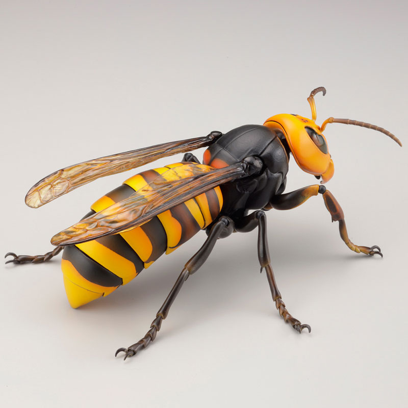 REVO GEO Big hornet