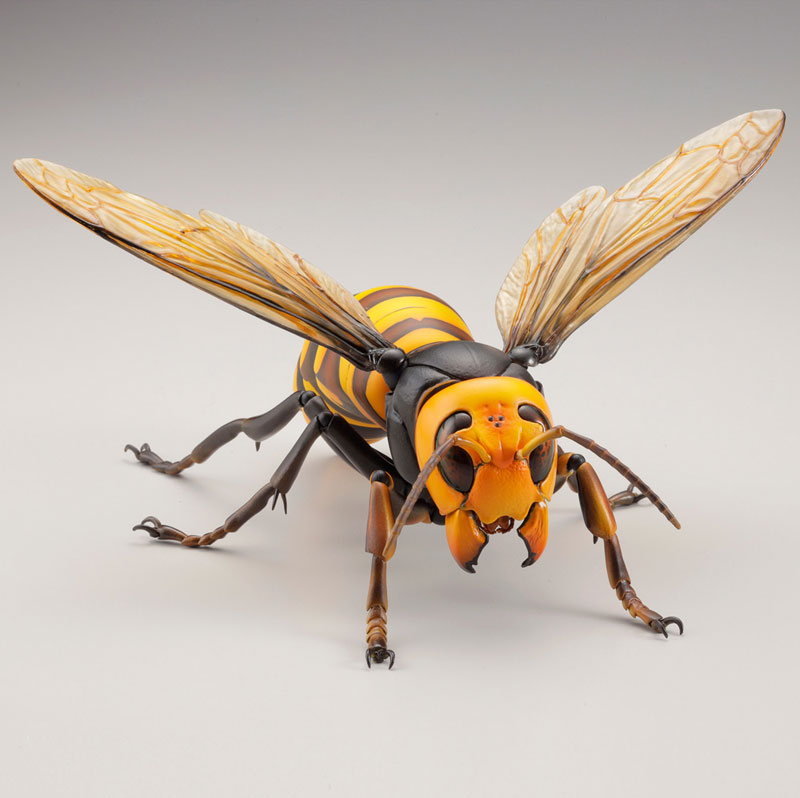 REVO GEO Big hornet