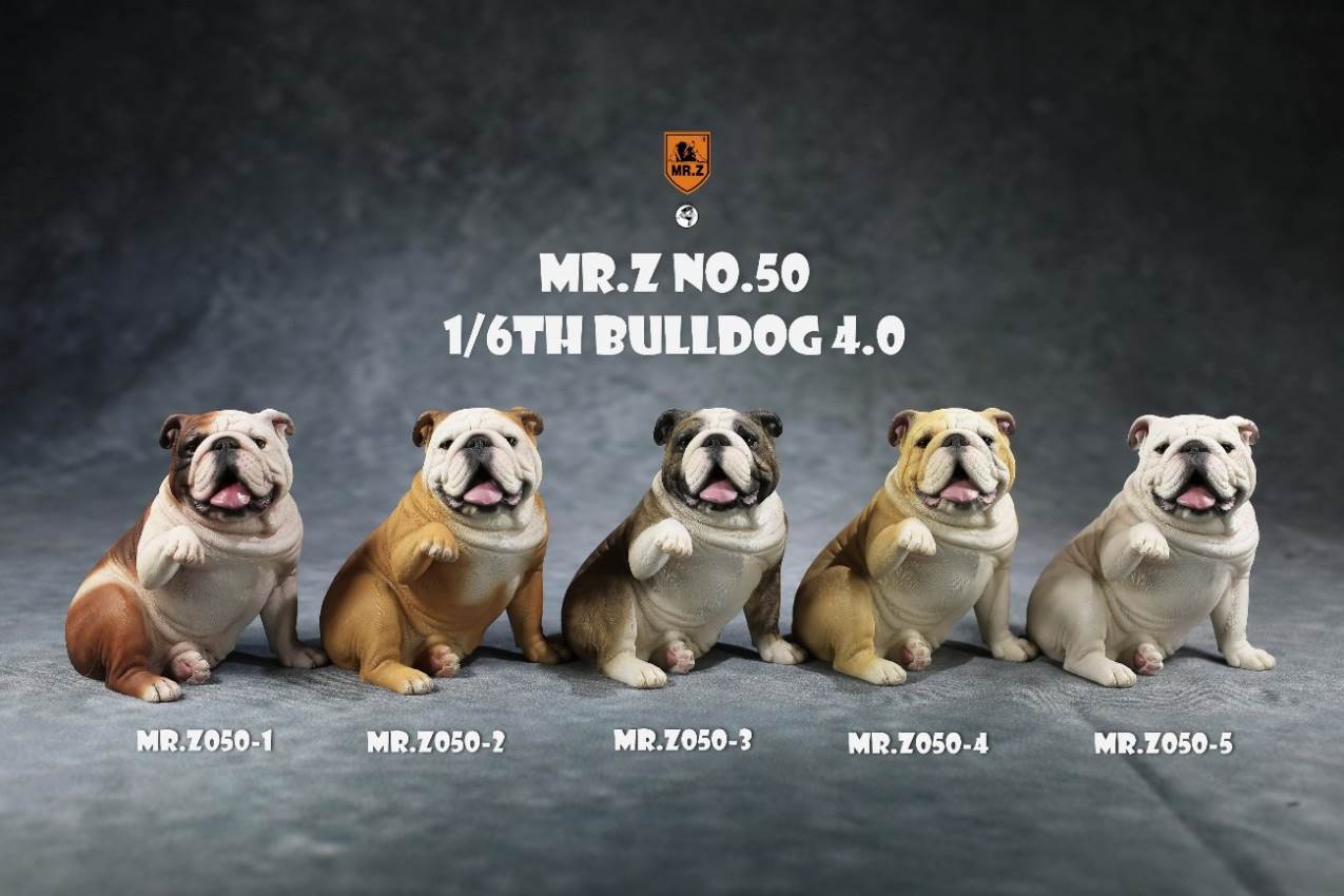 1/6 Animal Model No.50: 1/6th Bulldog V4.0 (all 5 colors)
