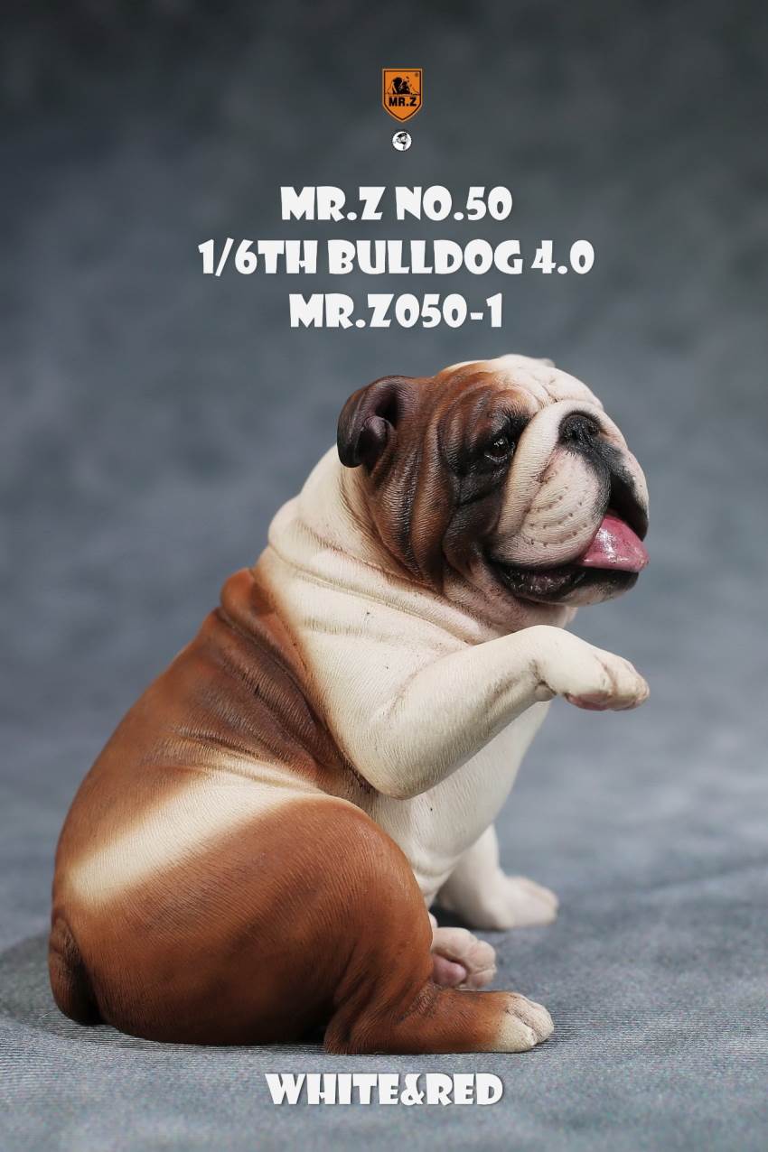 1/6 Animal Model No.50: 1/6th Bulldog V4.0 (all 5 colors)