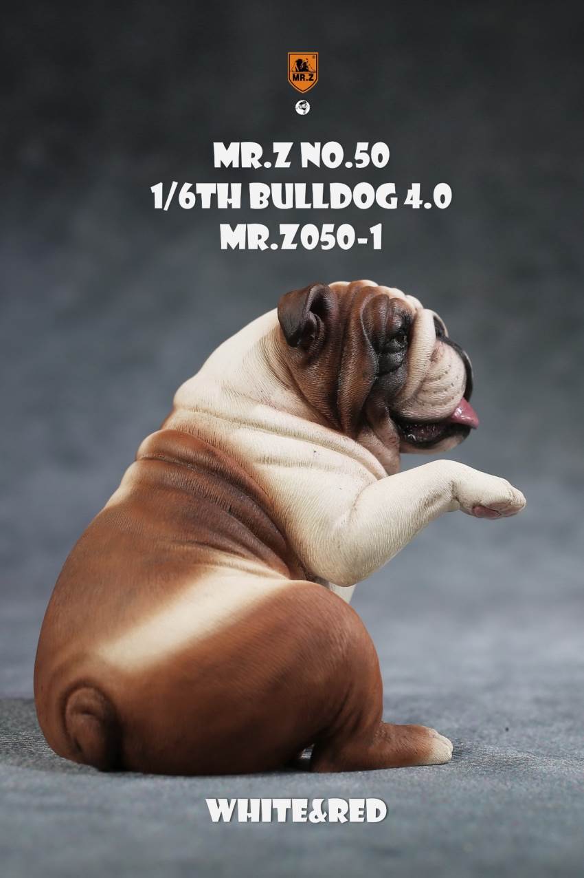 1/6 Animal Model No.50: 1/6th Bulldog V4.0 (all 5 colors)