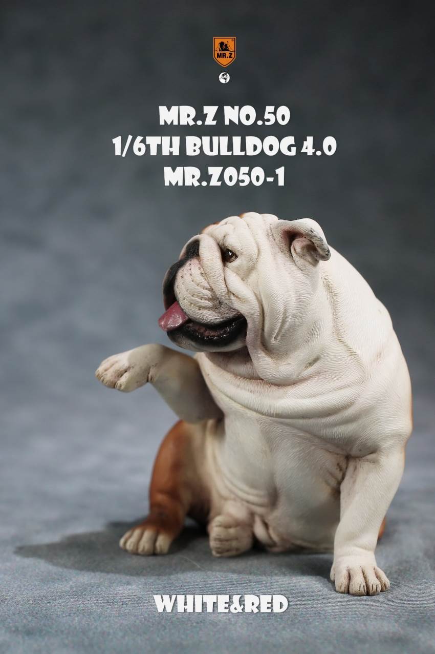 1/6 Animal Model No.50: 1/6th Bulldog V4.0 (all 5 colors)