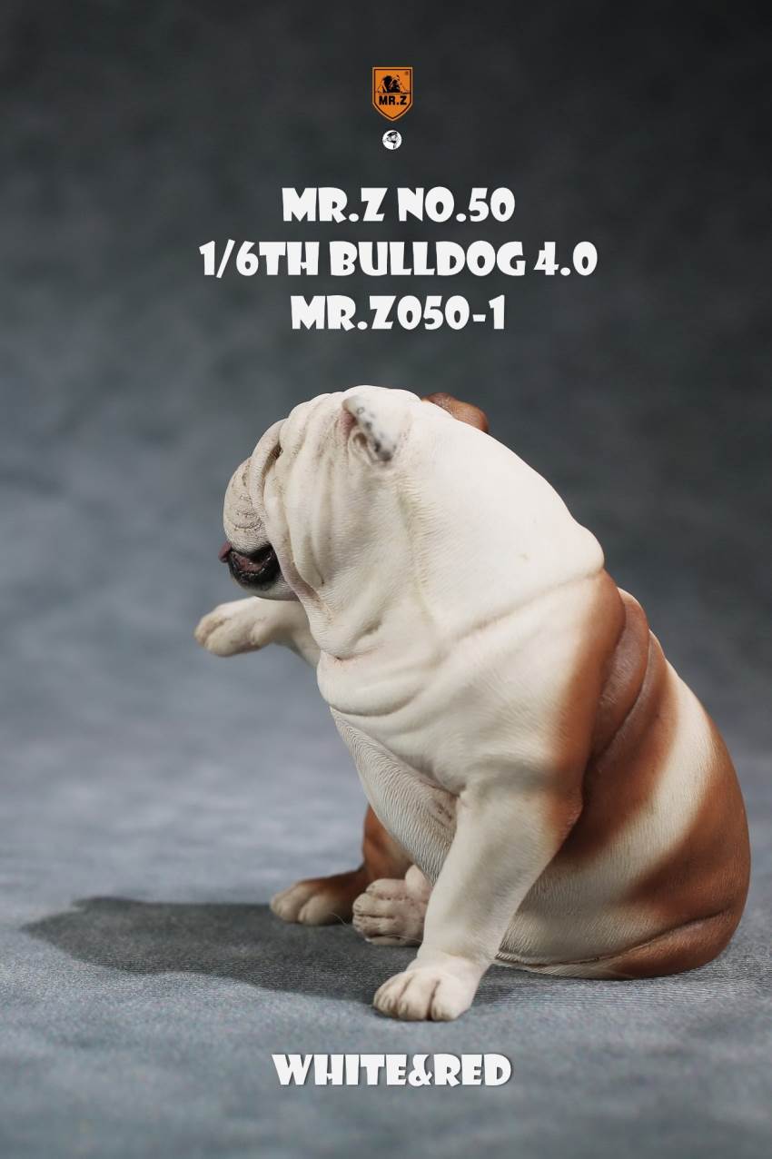 1/6 Animal Model No.50: 1/6th Bulldog V4.0 (all 5 colors)