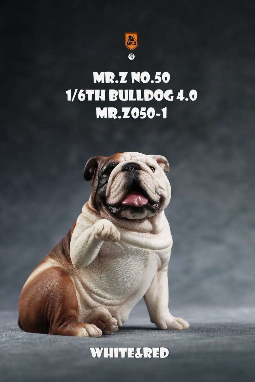 1/6 Animal Model No.50: 1/6th Bulldog V4.0 (all 5 colors)