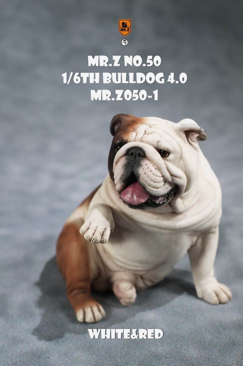 1/6 Animal Model No.50: 1/6th Bulldog V4.0 (all 5 colors)