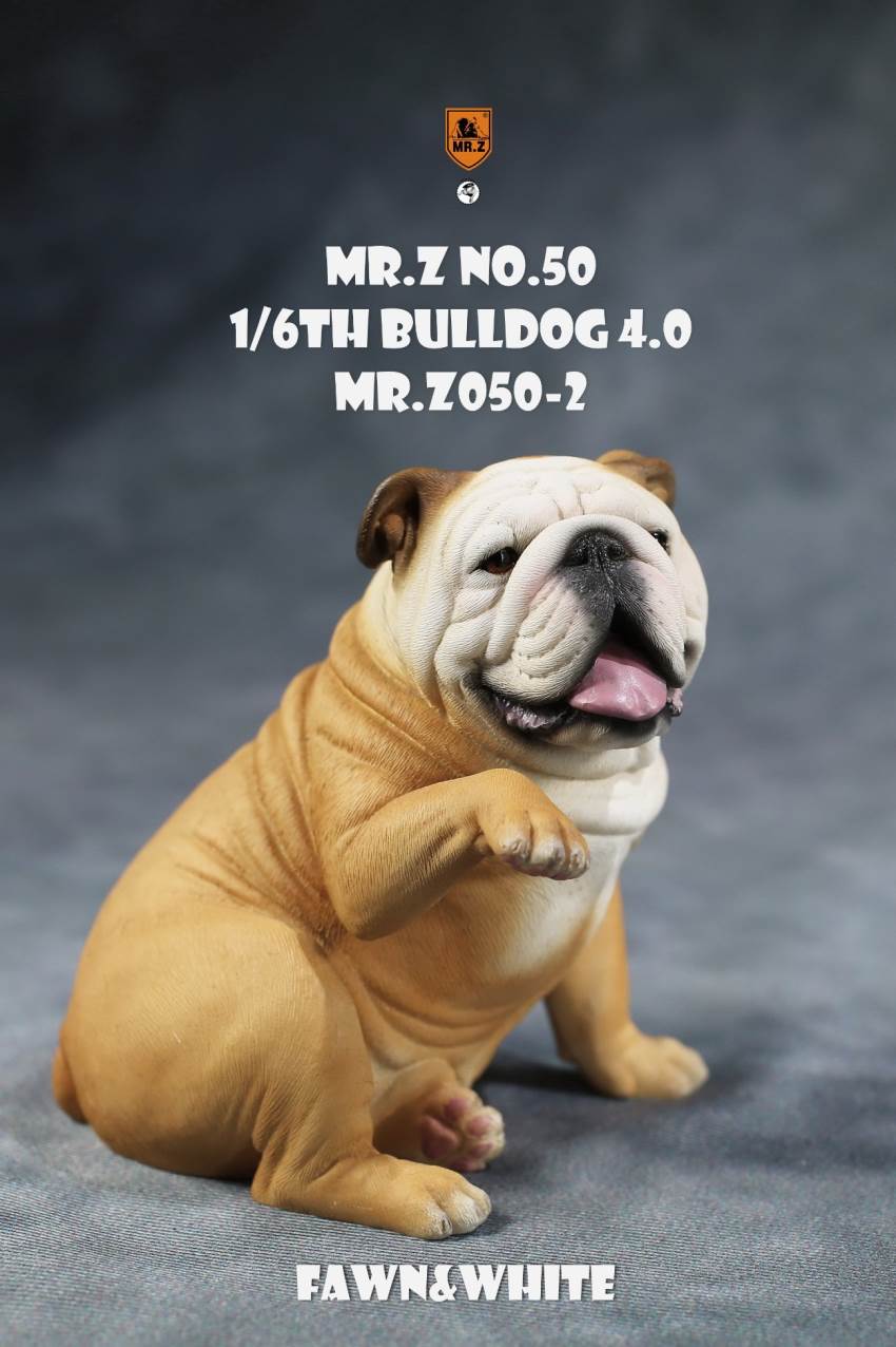 1/6 Animal Model No.50: 1/6th Bulldog V4.0 (all 5 colors)