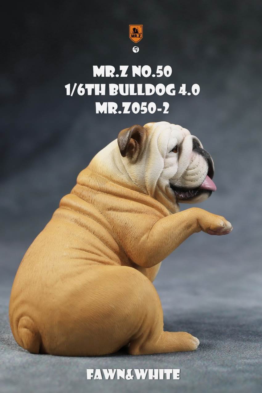 1/6 Animal Model No.50: 1/6th Bulldog V4.0 (all 5 colors)