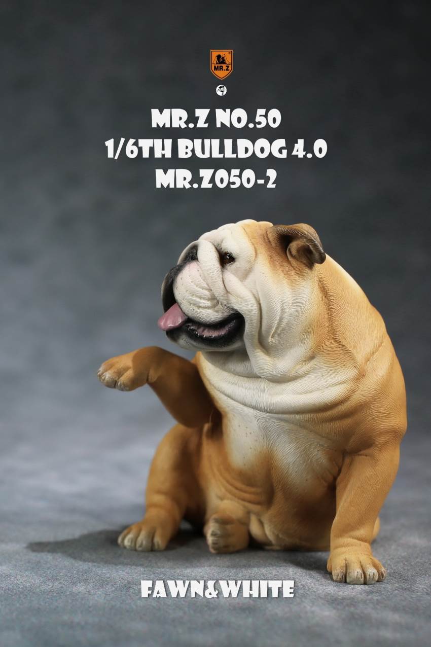 1/6 Animal Model No.50: 1/6th Bulldog V4.0 (all 5 colors)