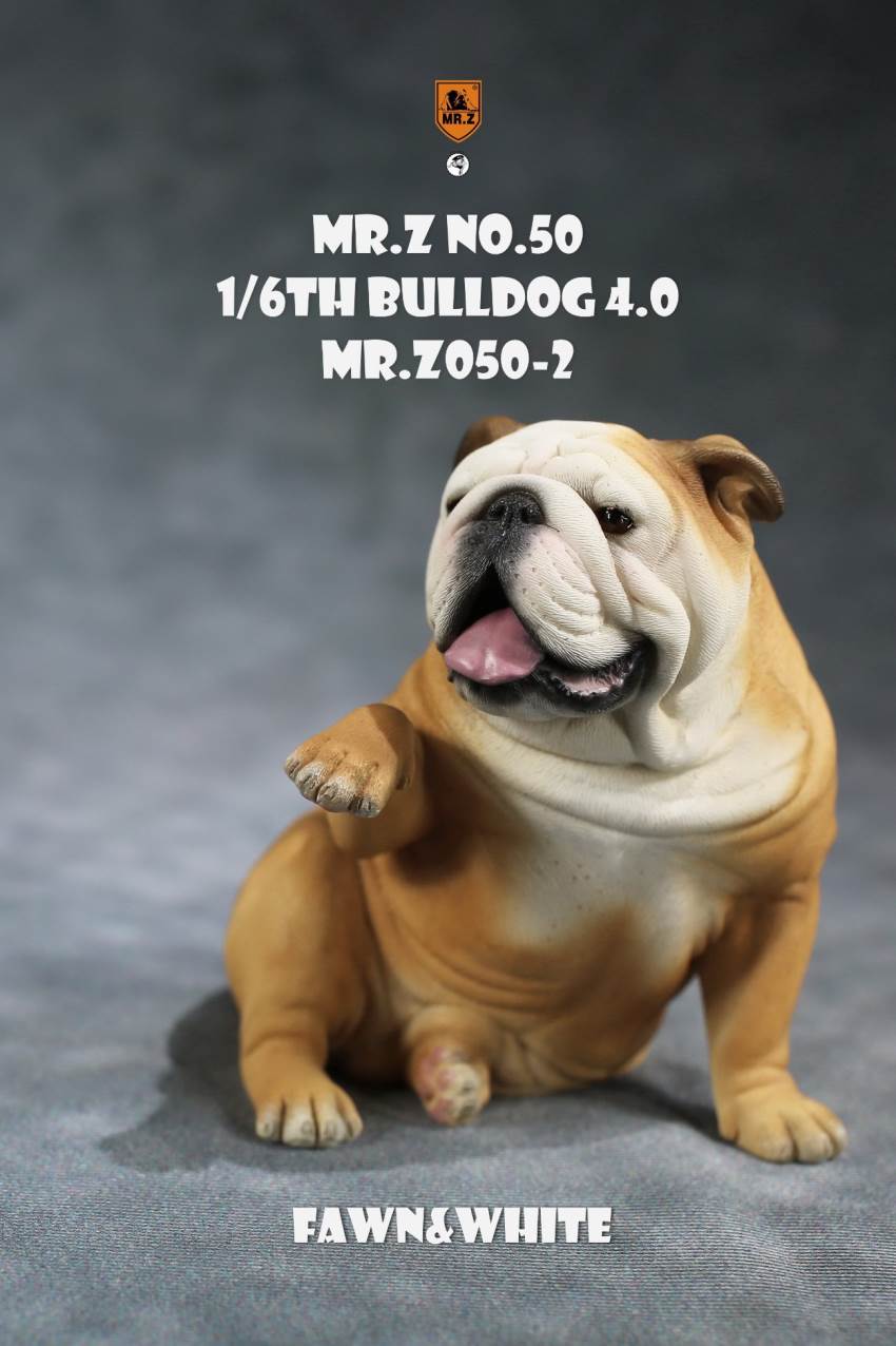 1/6 Animal Model No.50: 1/6th Bulldog V4.0 (all 5 colors)