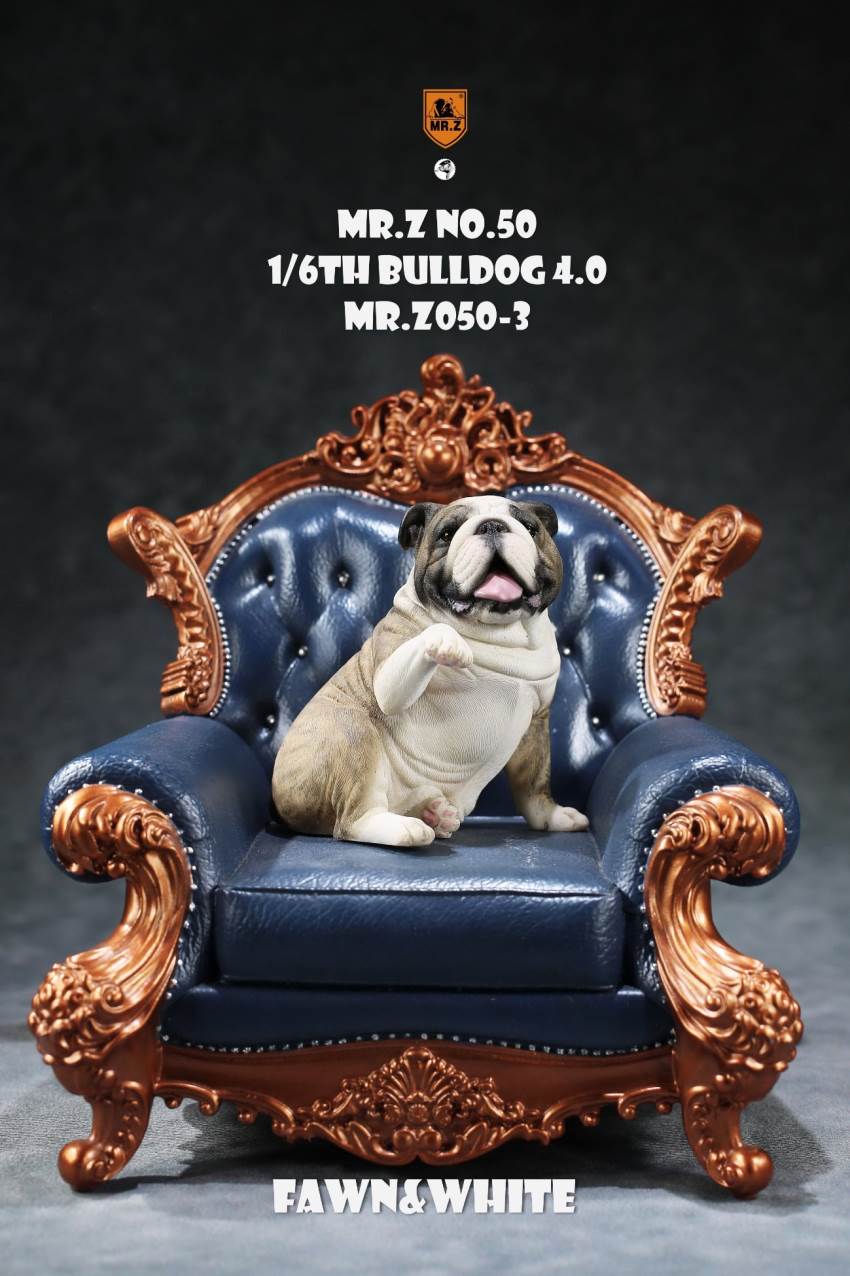 1/6 Animal Model No.50: 1/6th Bulldog V4.0 (all 5 colors)