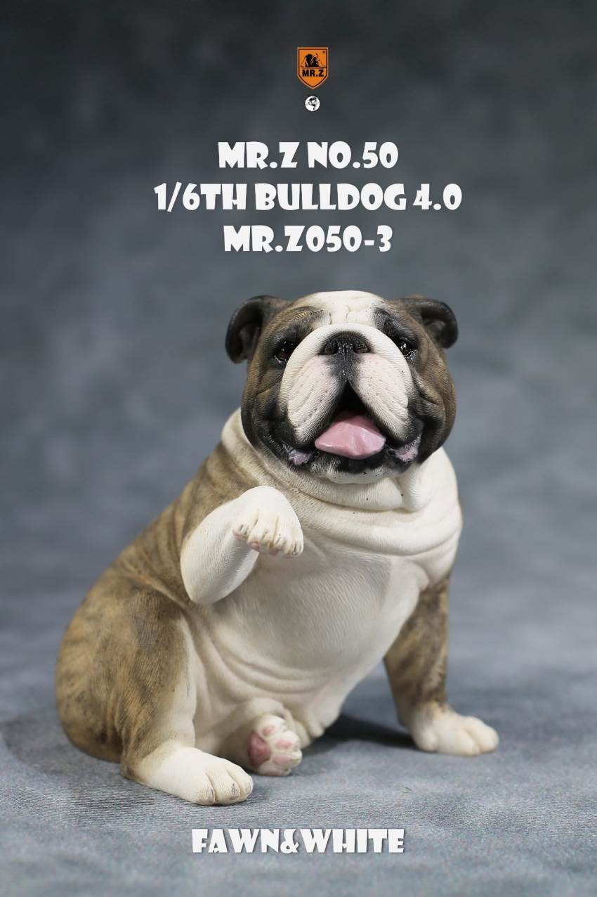 1/6 Animal Model No.50: 1/6th Bulldog V4.0 (all 5 colors)