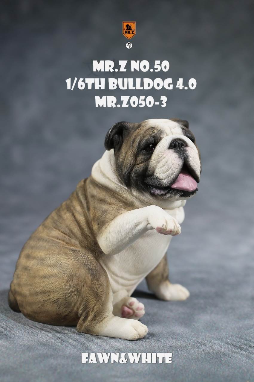 1/6 Animal Model No.50: 1/6th Bulldog V4.0 (all 5 colors)