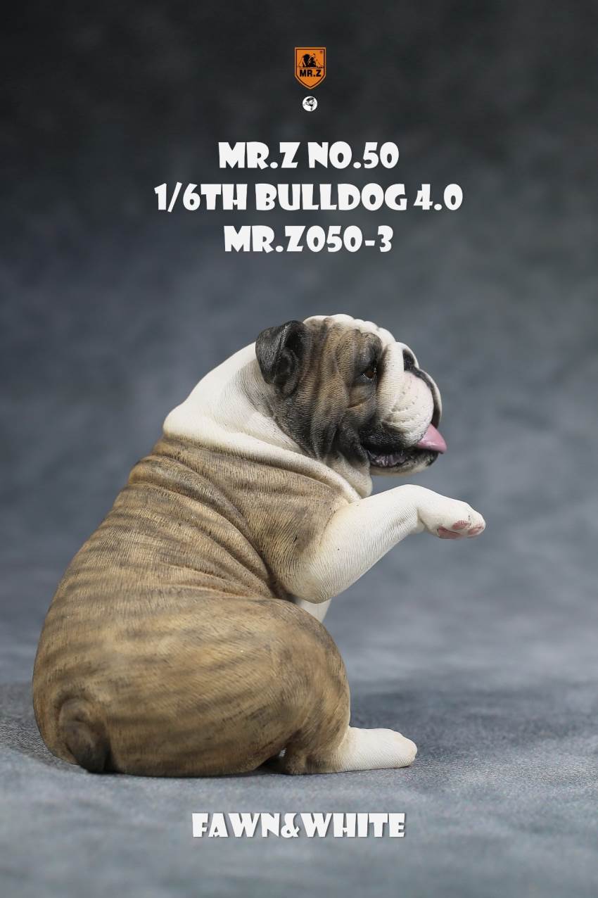 1/6 Animal Model No.50: 1/6th Bulldog V4.0 (all 5 colors)