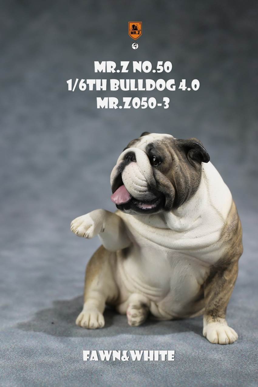 1/6 Animal Model No.50: 1/6th Bulldog V4.0 (all 5 colors)
