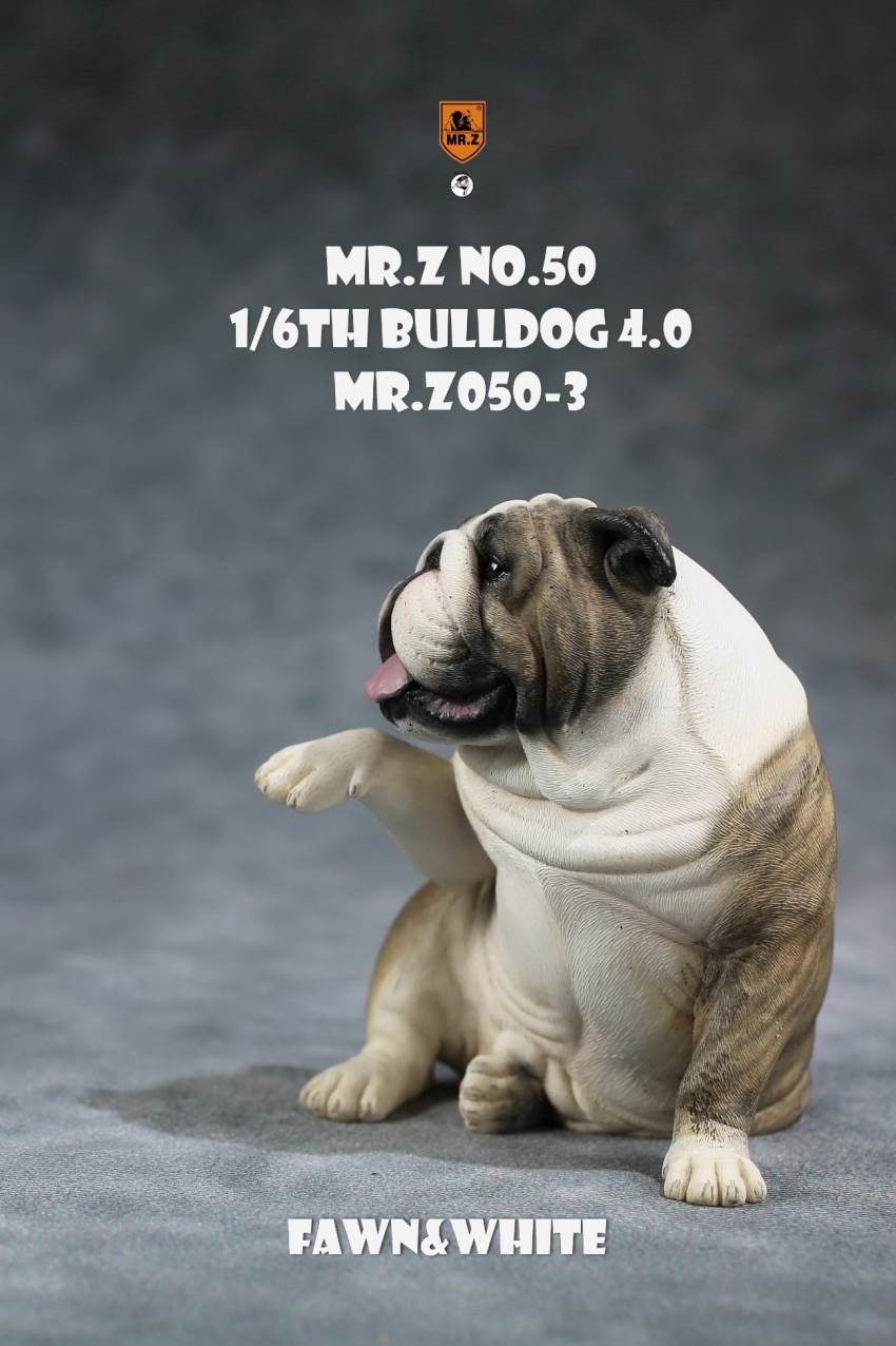 1/6 Animal Model No.50: 1/6th Bulldog V4.0 (all 5 colors)