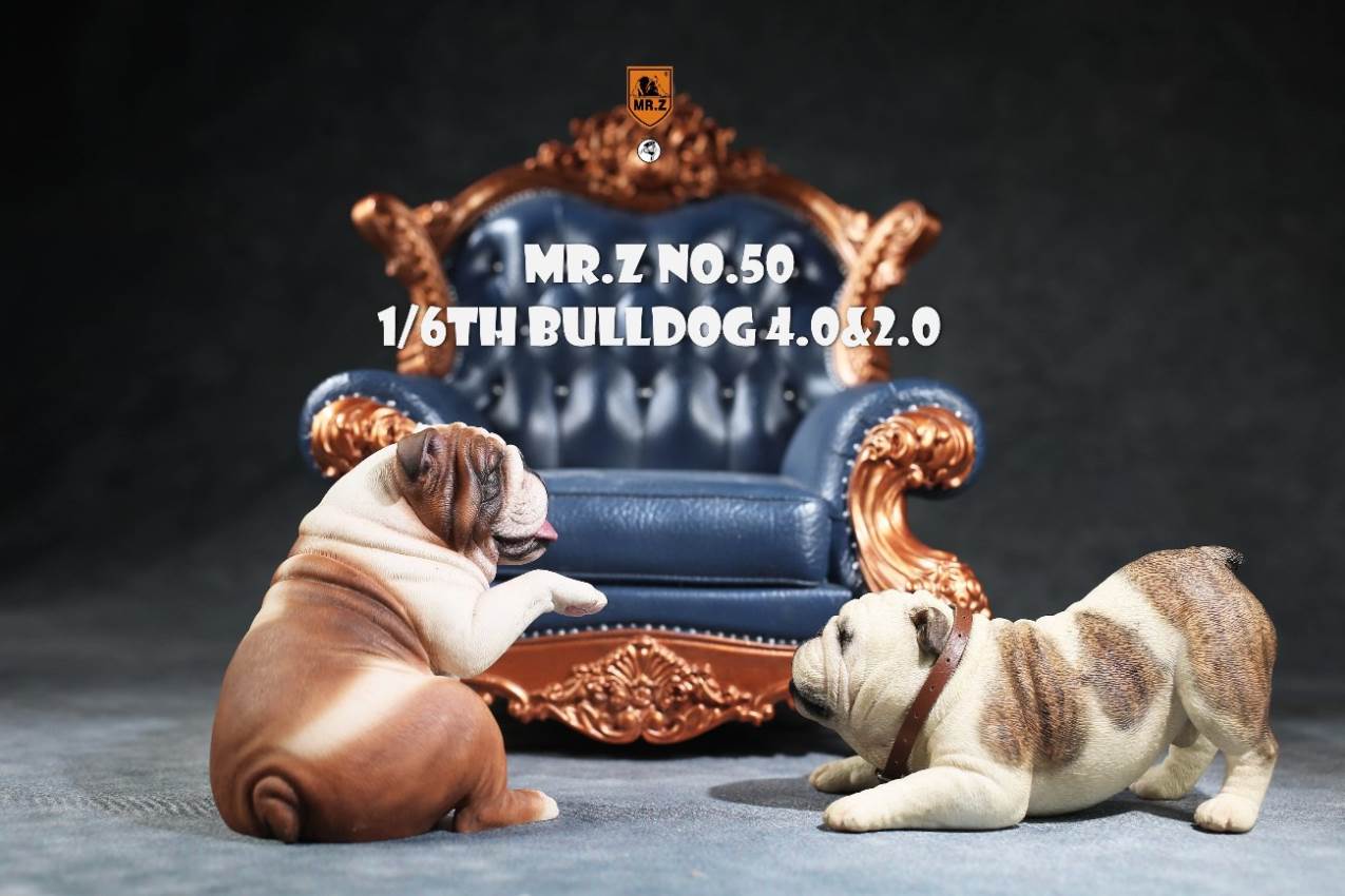 1/6 Animal Model No.50: 1/6th Bulldog V4.0 (all 5 colors)