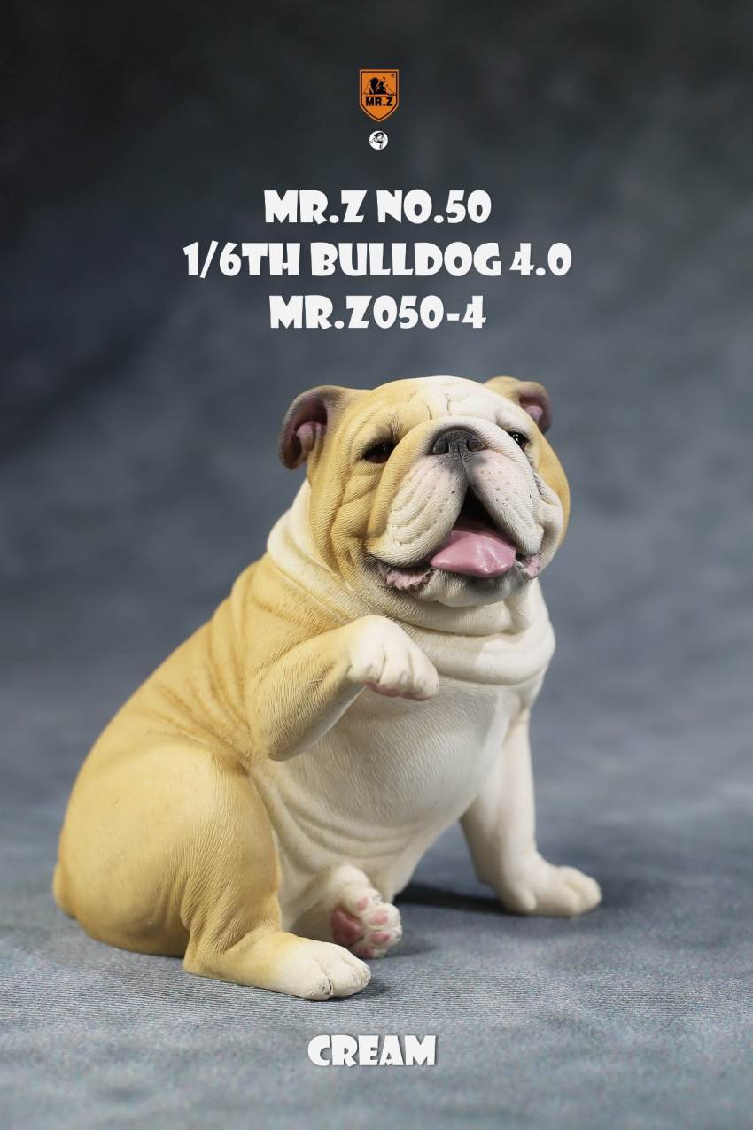 1/6 Animal Model No.50: 1/6th Bulldog V4.0 (all 5 colors)