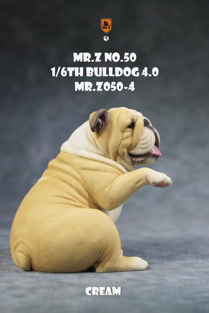 1/6 Animal Model No.50: 1/6th Bulldog V4.0 (all 5 colors)