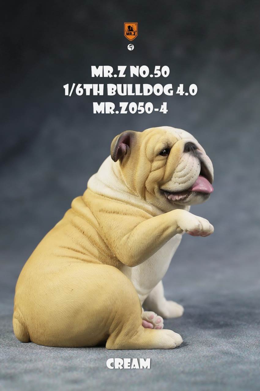 1/6 Animal Model No.50: 1/6th Bulldog V4.0 (all 5 colors)