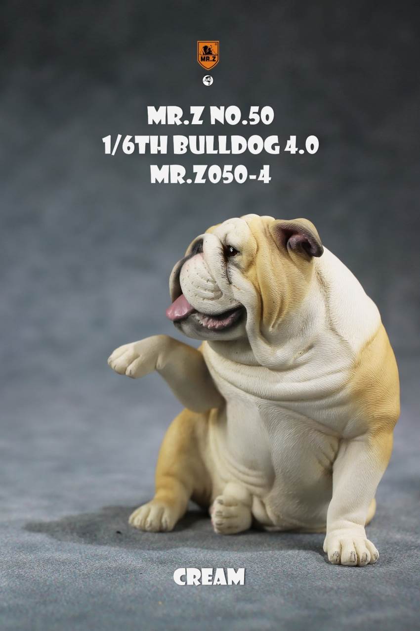 1/6 Animal Model No.50: 1/6th Bulldog V4.0 (all 5 colors)
