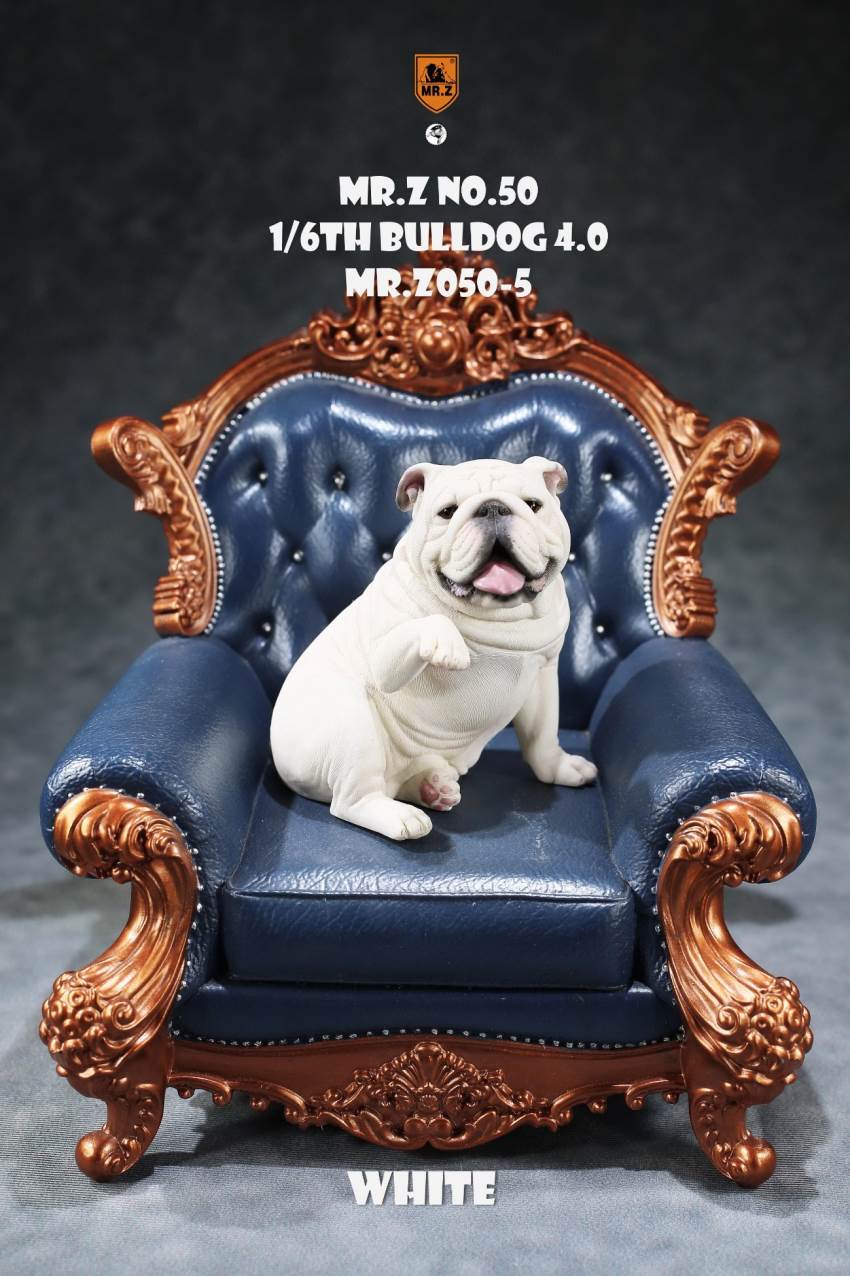 1/6 Animal Model No.50: 1/6th Bulldog V4.0 (all 5 colors)
